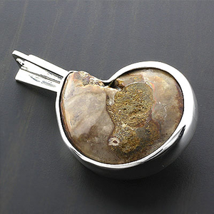 Genuine Ammonite Amethyst Pendant