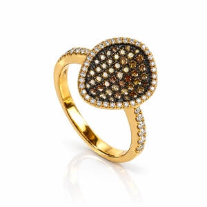 0.60 CTW 14K Yellow Gold Chocolate and White Diamonds Ring