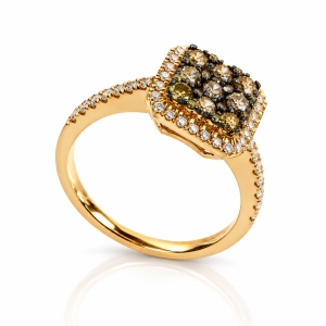 0.88 CTW 14K Yellow Gold Chocolate and White Diamonds Ring