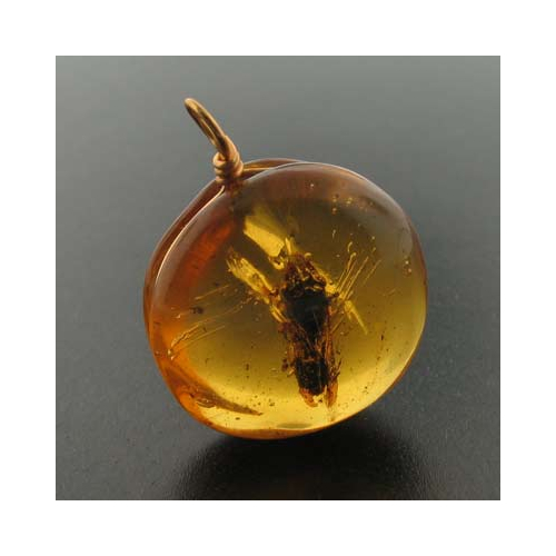 Genuine Amber Fly Pendant