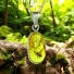 Rare 100% Genuine Amber With Ant Silver Pendant 24mm x 9 mm