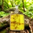 100% Natural Amber With Insect Parts Silver Pendant 25mm x 10mm